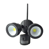 Ceiling light 2024 security camera